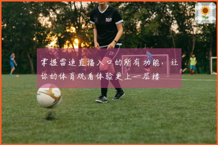 掌握雷速直播入口的所有功能，让你的体育观看体验更上一层楼