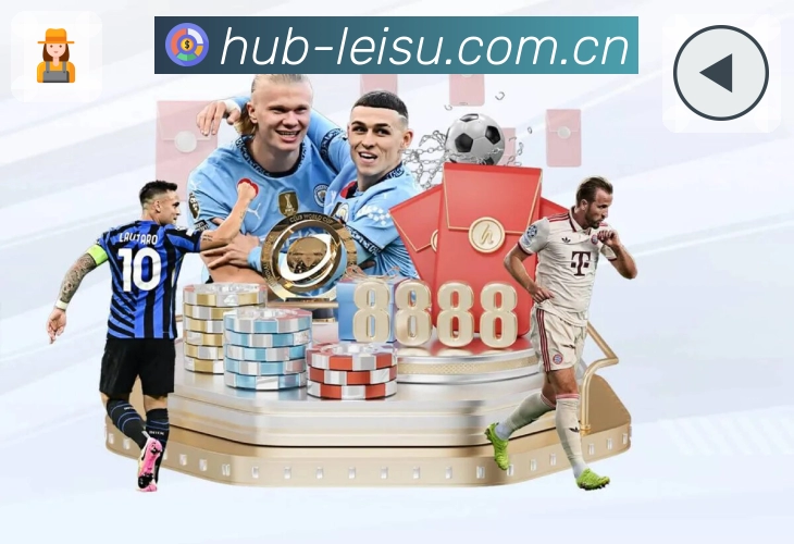 雷速技术架构与安全保障